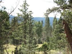 Hidden Lake Lot 92